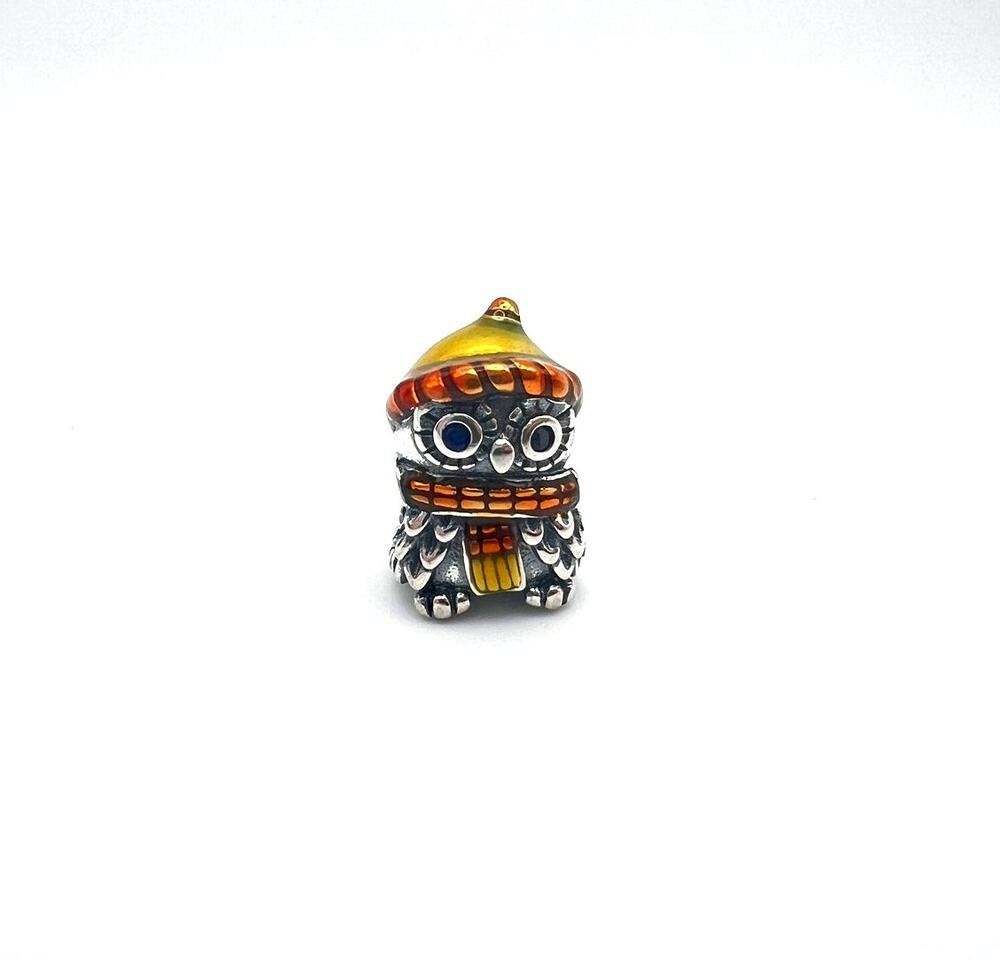 NEW Fall Scholarly Owl Charm for European Bracelet